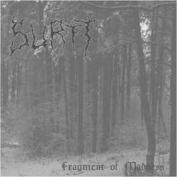 Surtt : Fragment of Madness